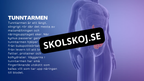 Matsmältningssystemet - Presentation - Frågor