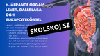 Matsmältningssystemet - Presentation - Frågor