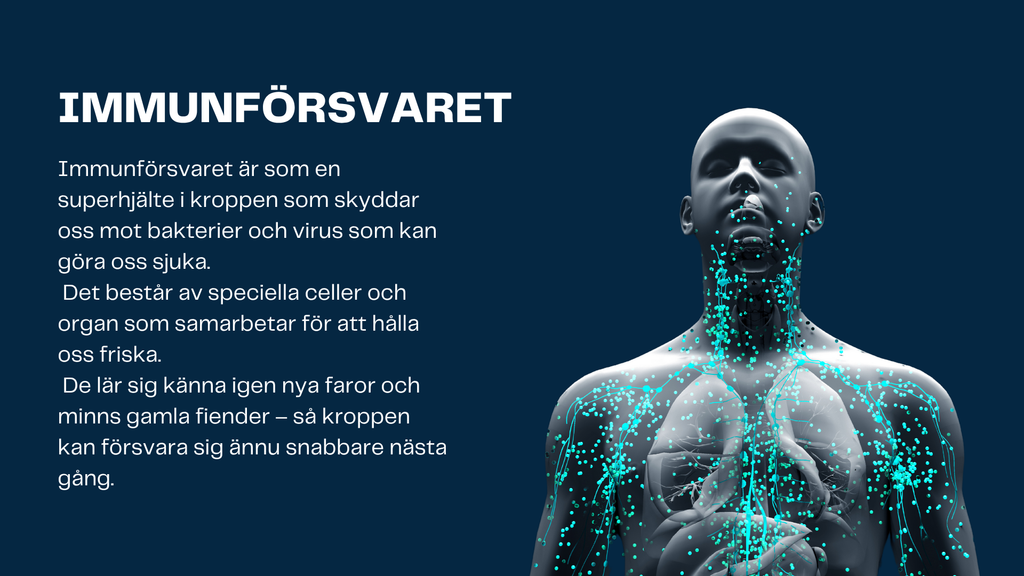Människokroppen - Årskurs 7 - 9