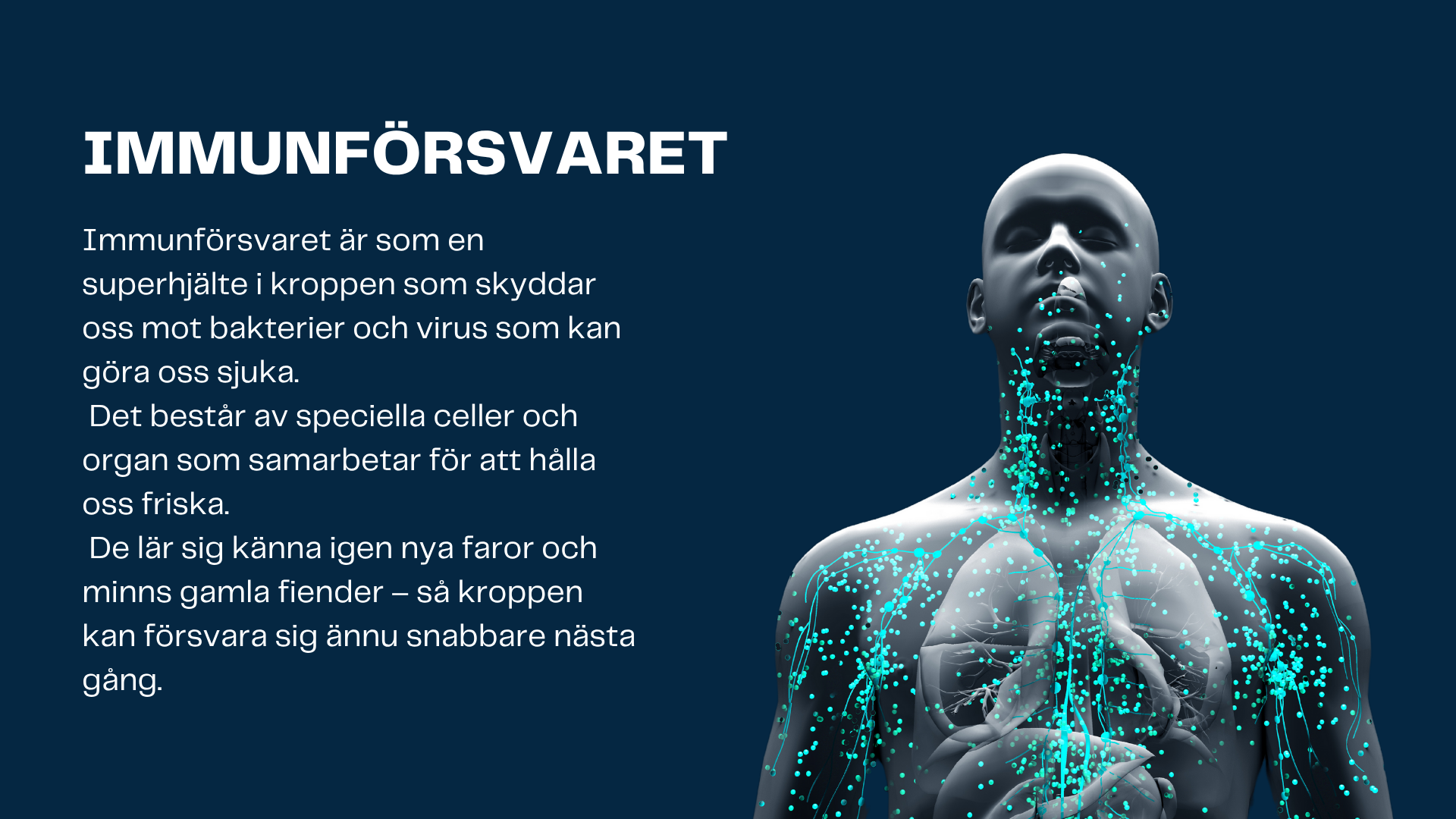 Människokroppen - Årskurs 7 - 9
