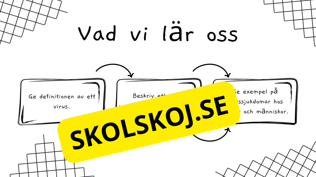 Virus - Biologi - Presentation + frågor - Åk 6 - 9