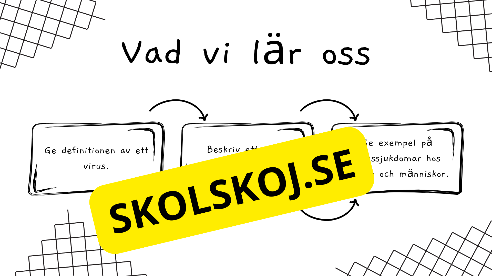 Virus - Biologi - Presentation + frågor - Åk 6 - 9
