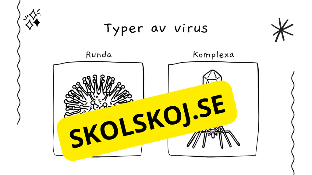 Virus - Biologi - Presentation + frågor - Åk 6 - 9