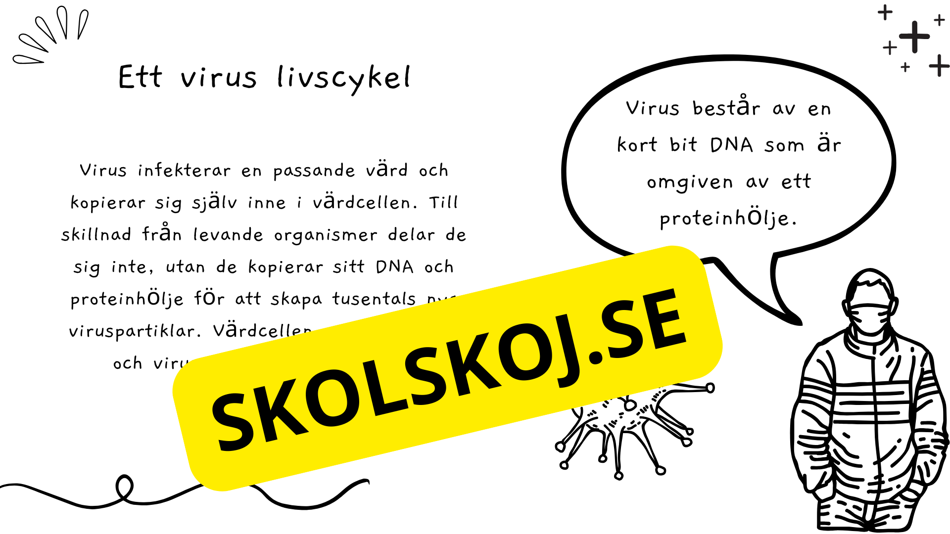 Virus - Biologi - Presentation + frågor - Åk 6 - 9