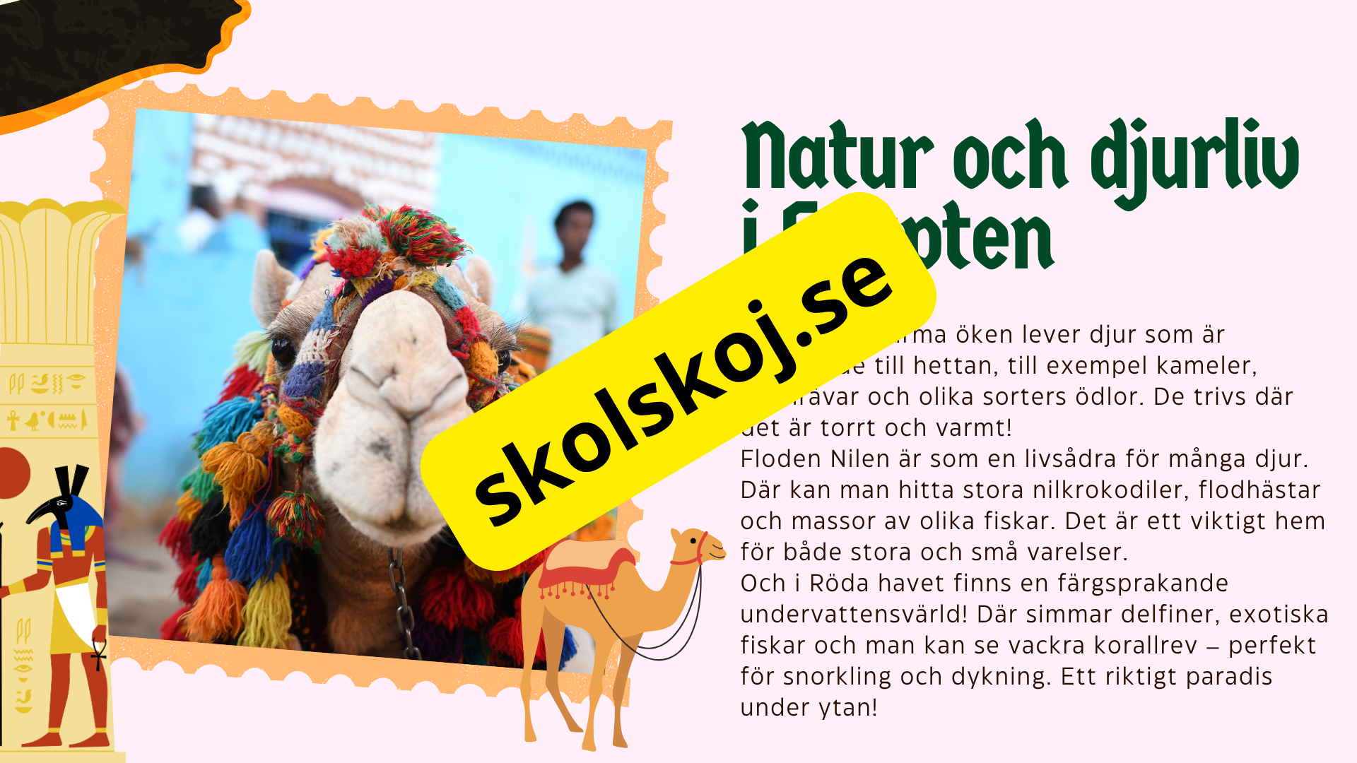 Egypten - Årskurs 4 - 6 + Frågor