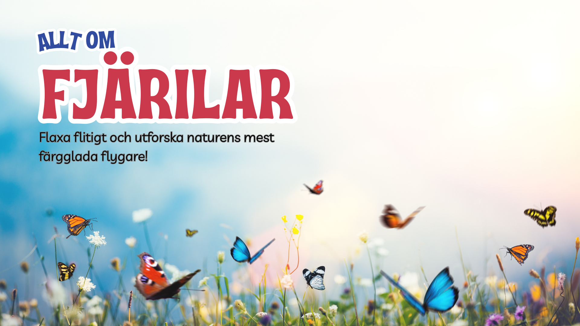Allt om fjärilar - Presentation + frågor
