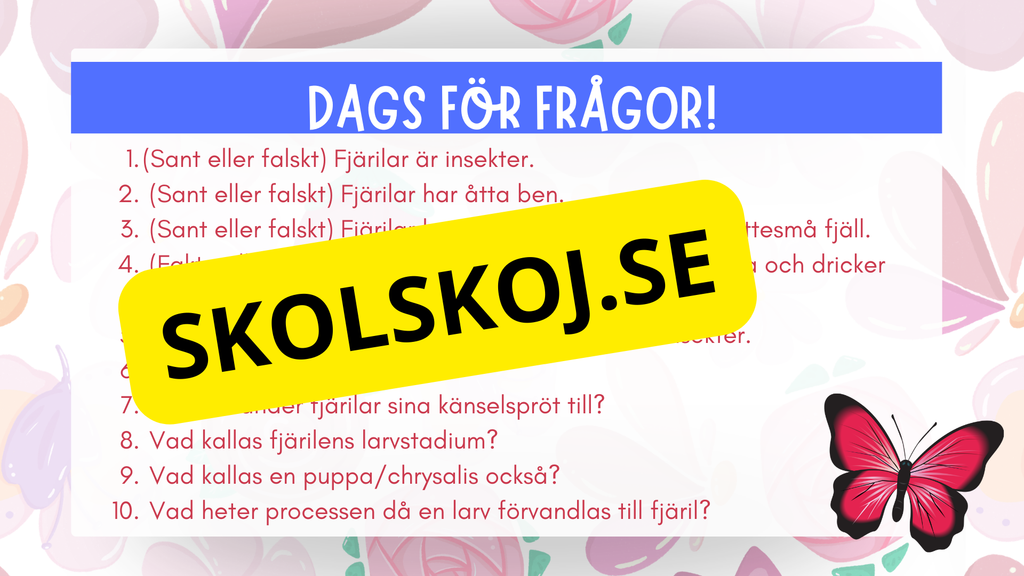 Allt om fjärilar - Presentation + frågor