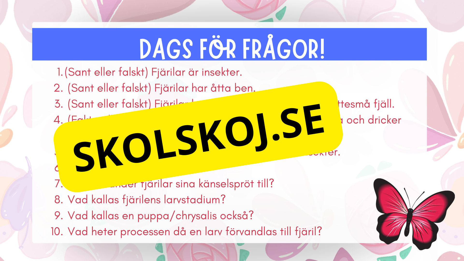 Allt om fjärilar - Presentation + frågor