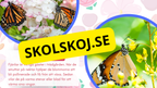 Allt om fjärilar - Presentation + frågor