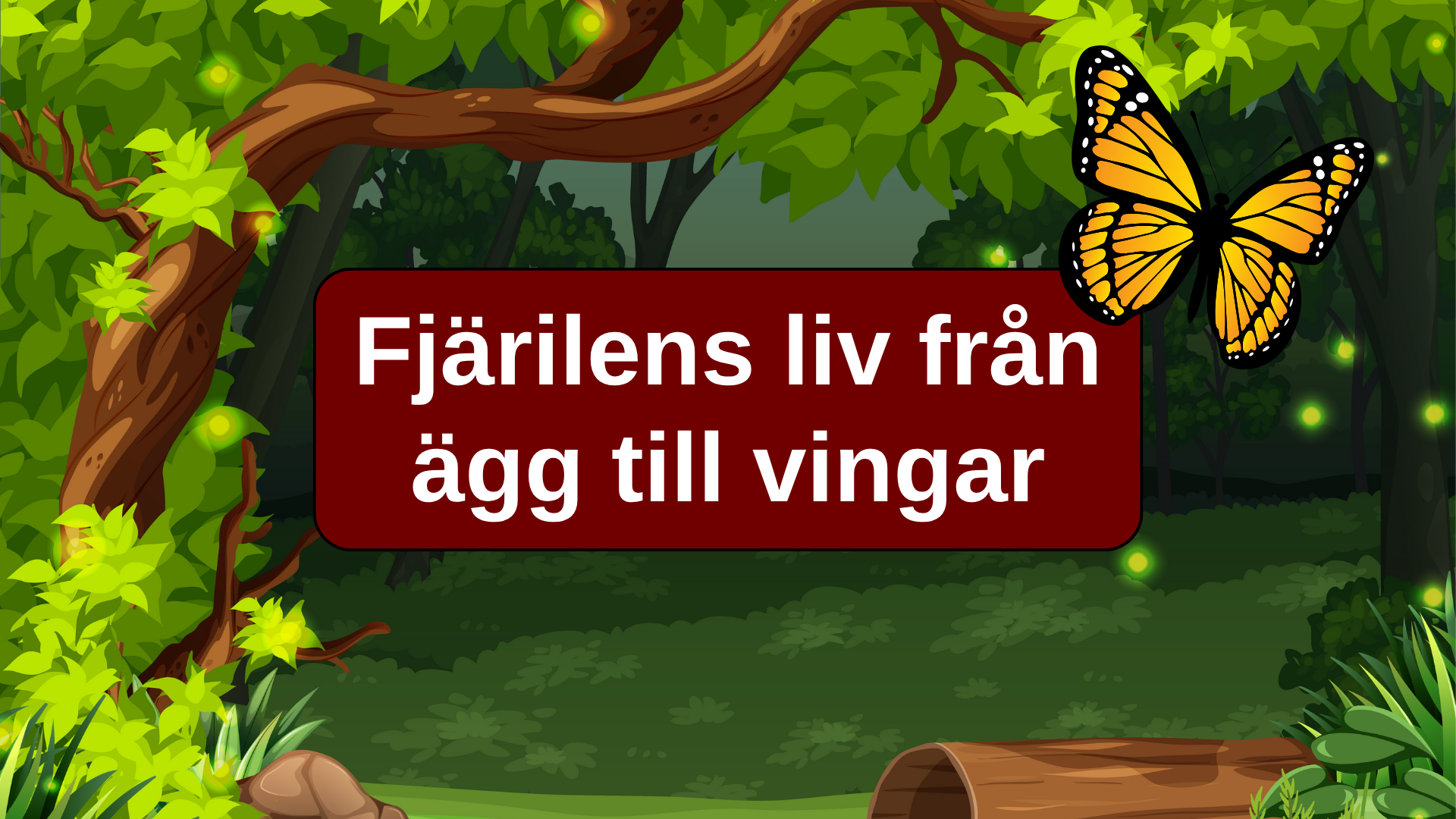 Fjärilens liv från ägg till vingar