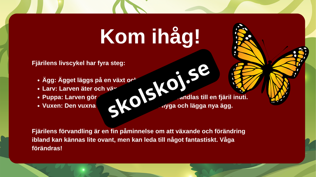 Fjärilens liv från ägg till vingar