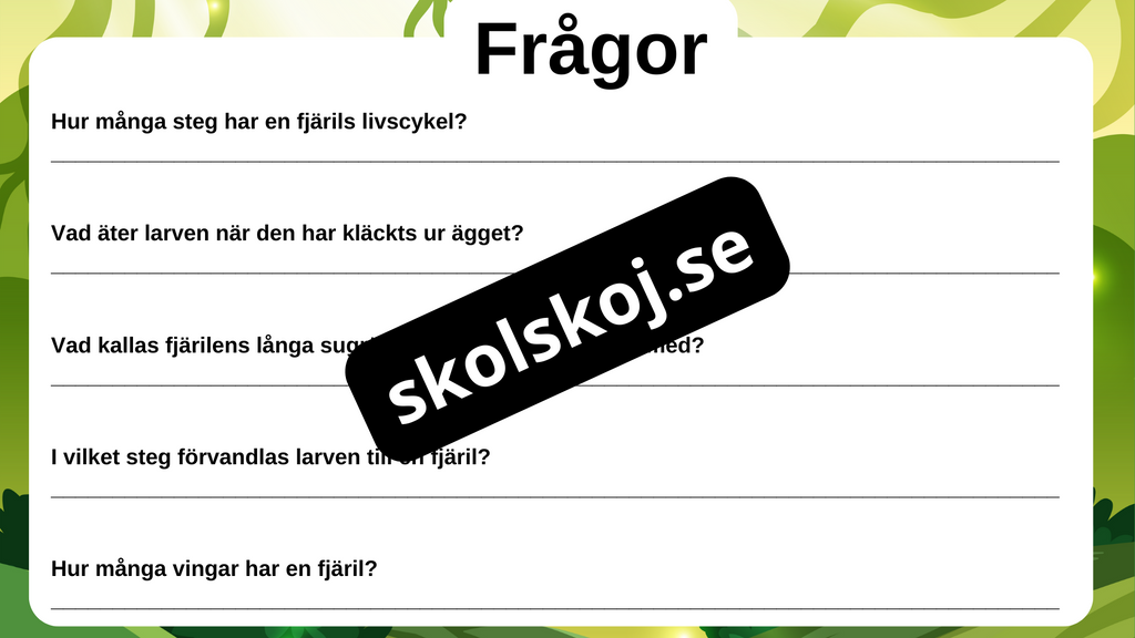 Fjärilens liv från ägg till vingar