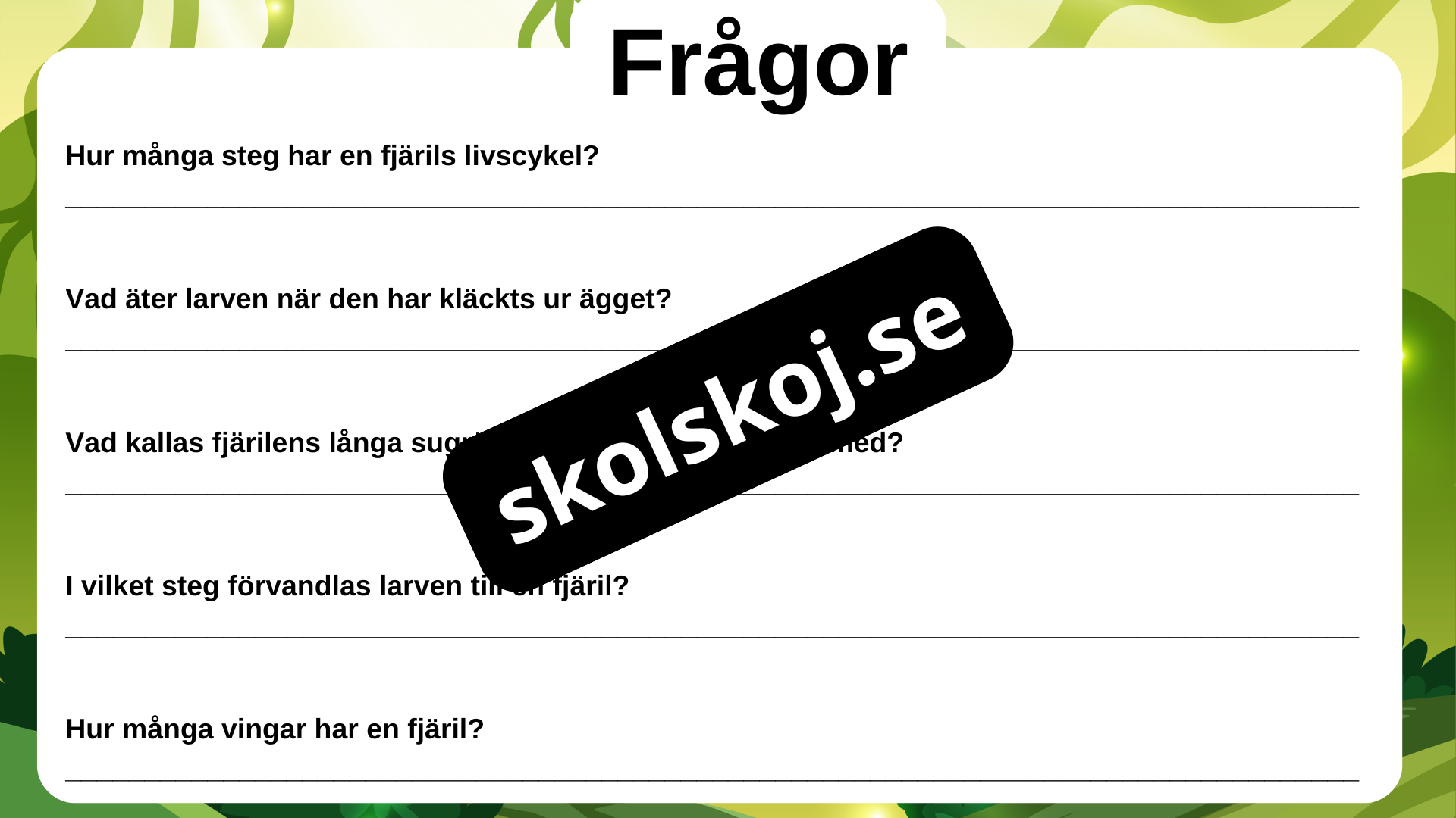Fjärilens liv från ägg till vingar
