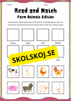 Early finishers - English workbook
