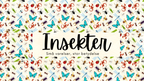 Insekter - Presentation + frågor