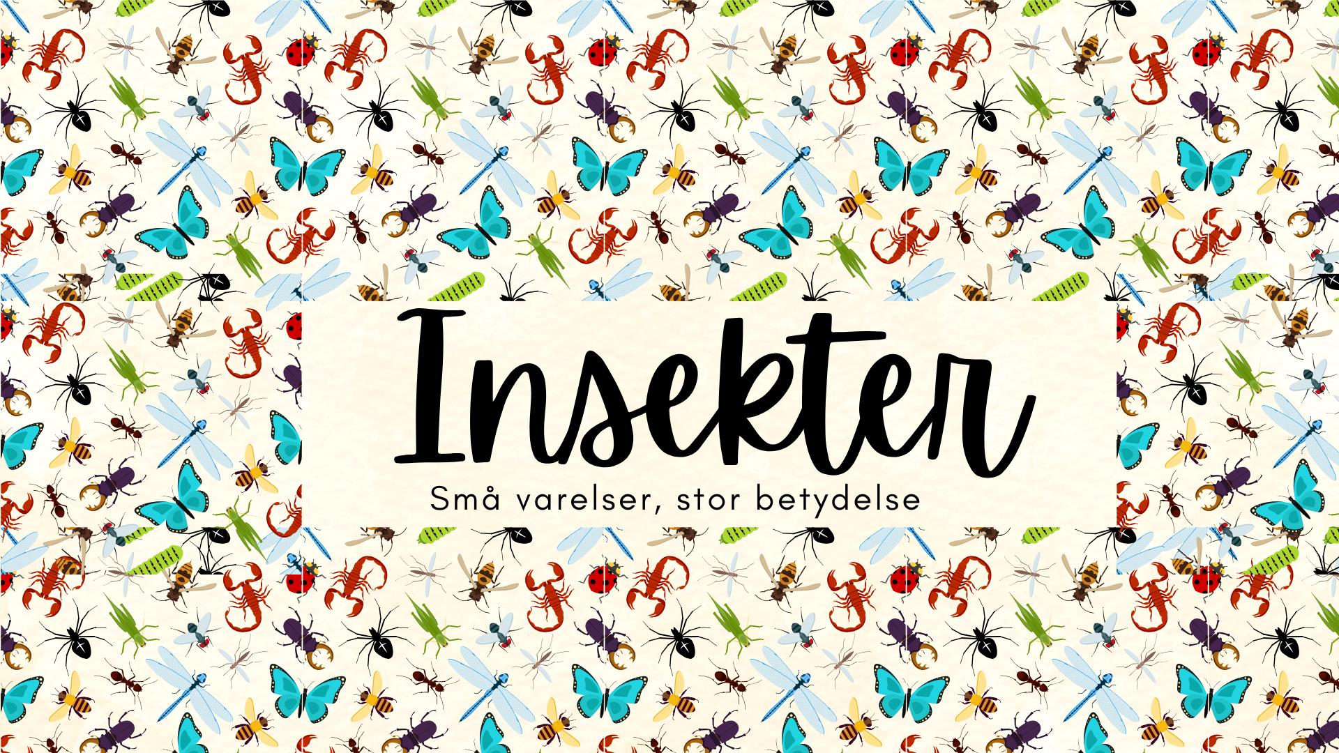Insekter - Presentation + frågor