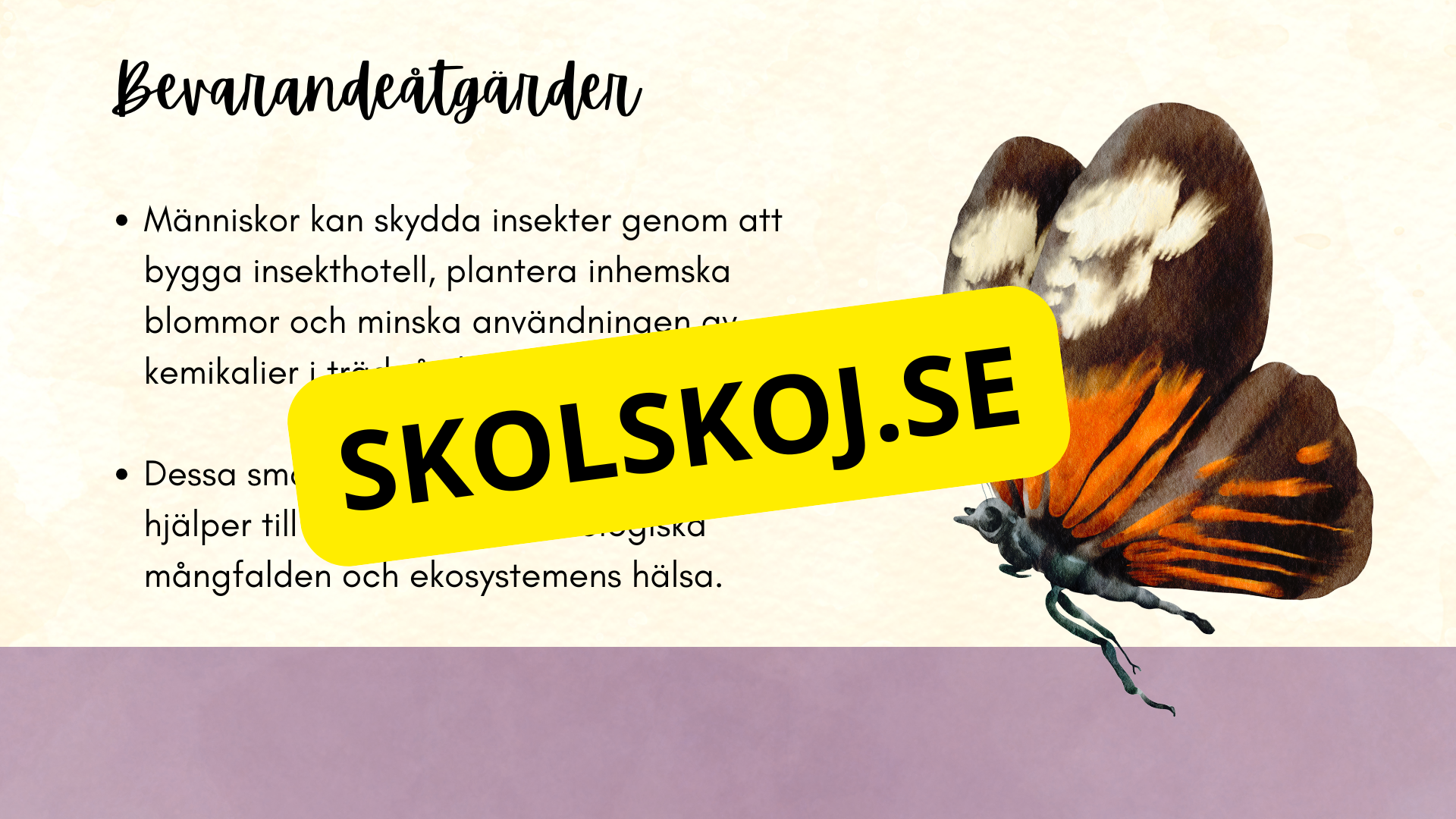 Insekter - Presentation + frågor