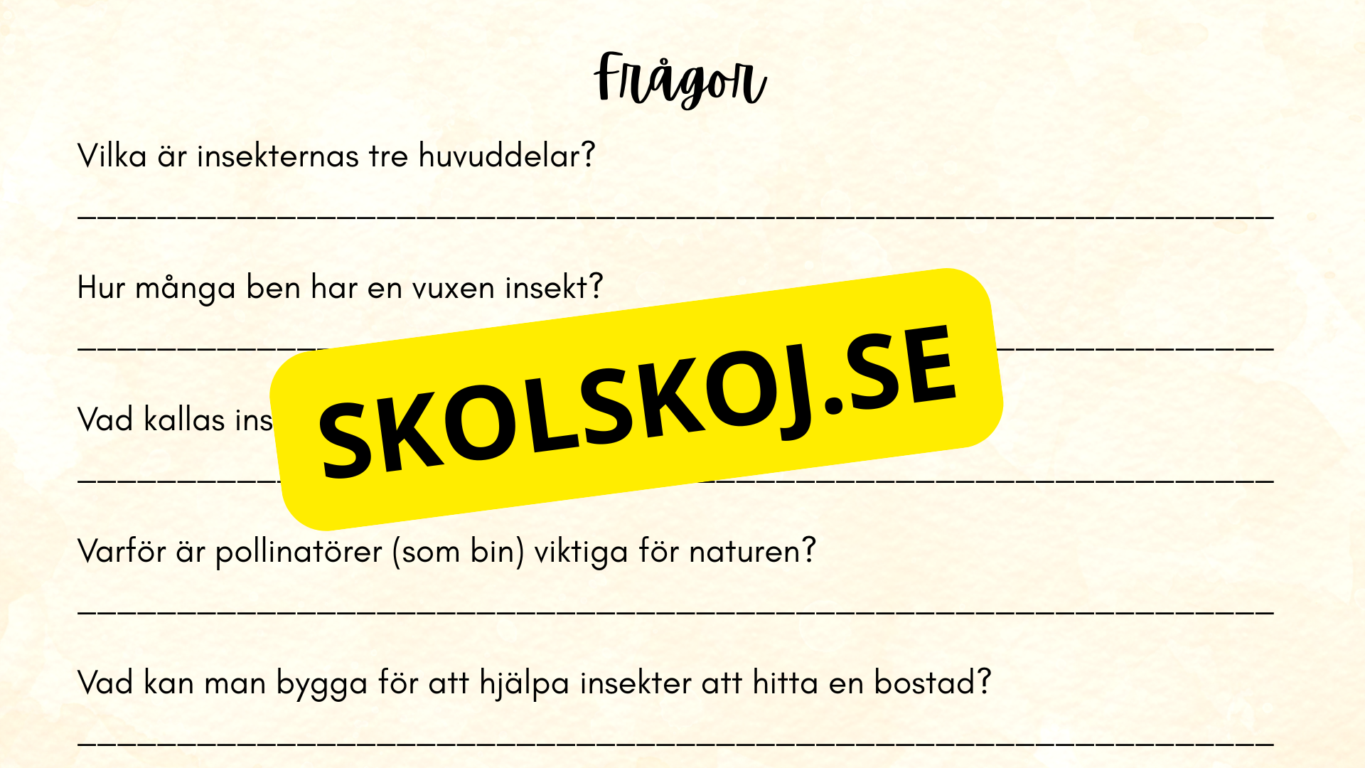 Insekter - Presentation + frågor
