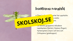 Insekter - Presentation + frågor