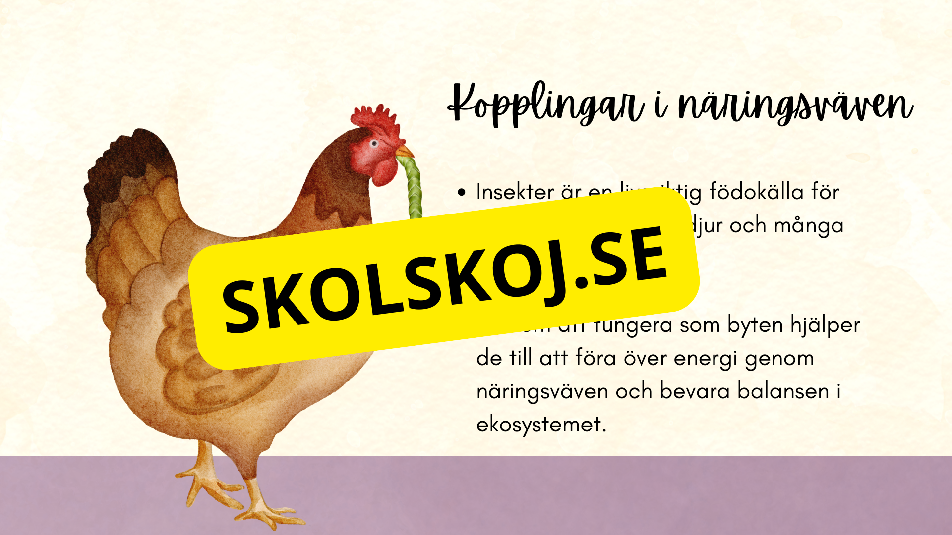Insekter - Presentation + frågor
