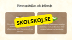 Insekter - Presentation + frågor