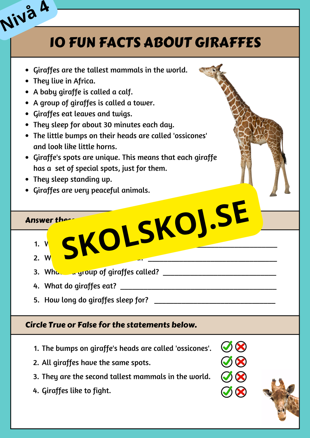Stort paket - English Reading Comprehension Big Bundle