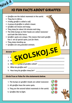 Stort paket - English Reading Comprehension Big Bundle