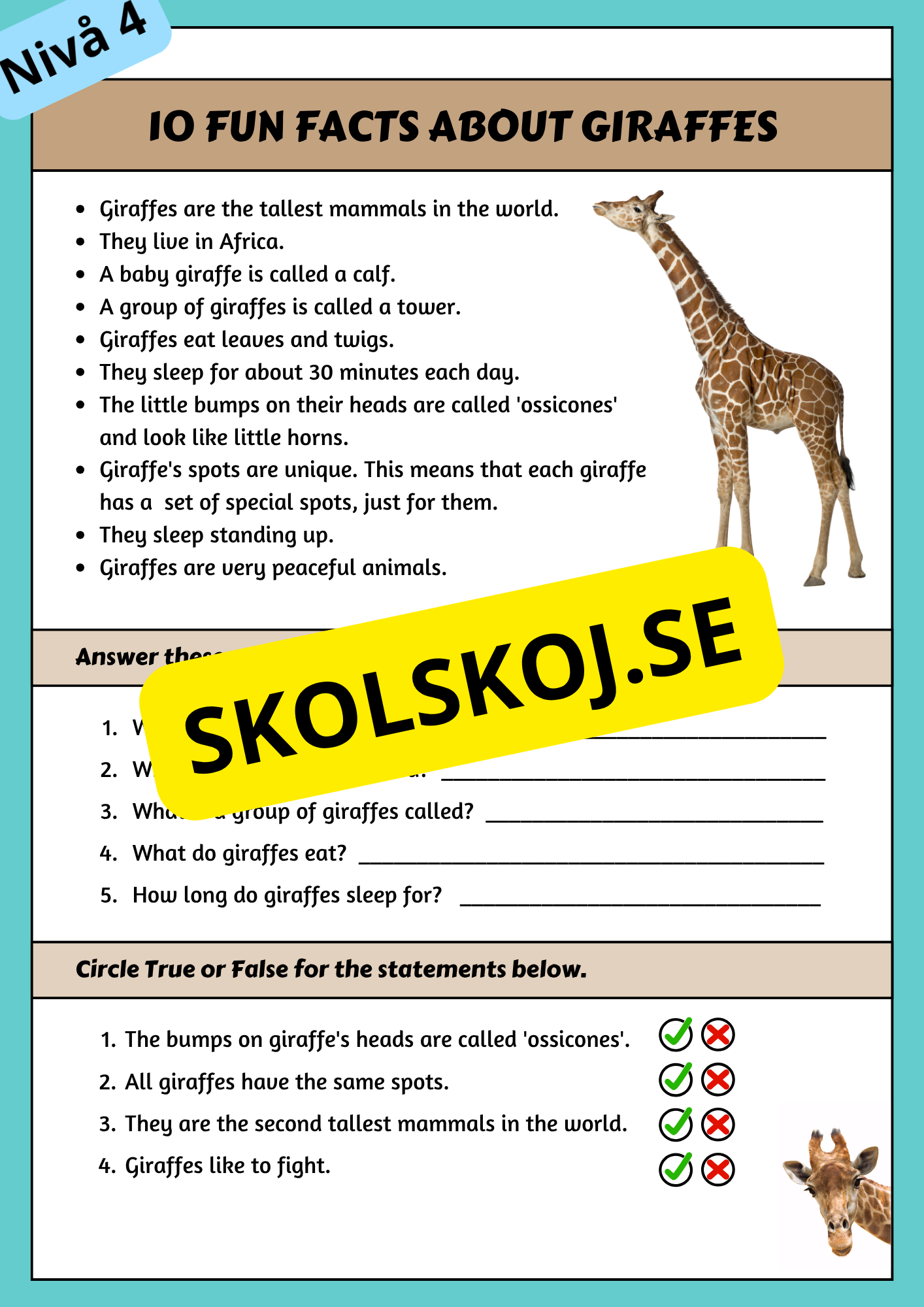 Stort paket - English Reading Comprehension Big Bundle