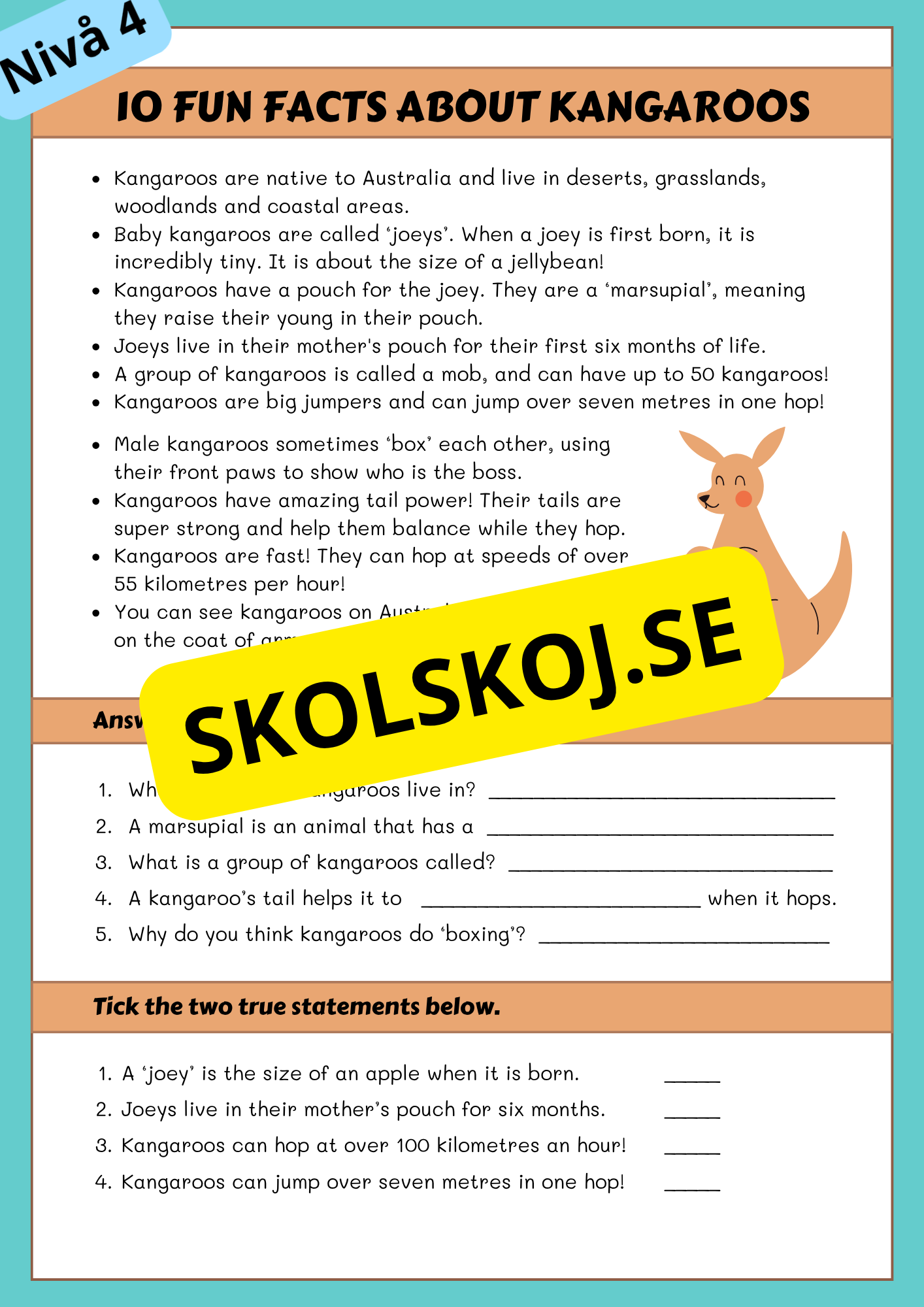 Stort paket - English Reading Comprehension Big Bundle