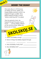Stort paket - English Reading Comprehension Big Bundle