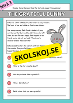 Stort paket - English Reading Comprehension Big Bundle