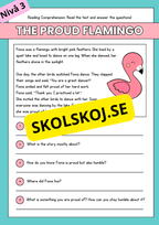 Stort paket - English Reading Comprehension Big Bundle