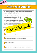 Stort paket - English Reading Comprehension Big Bundle