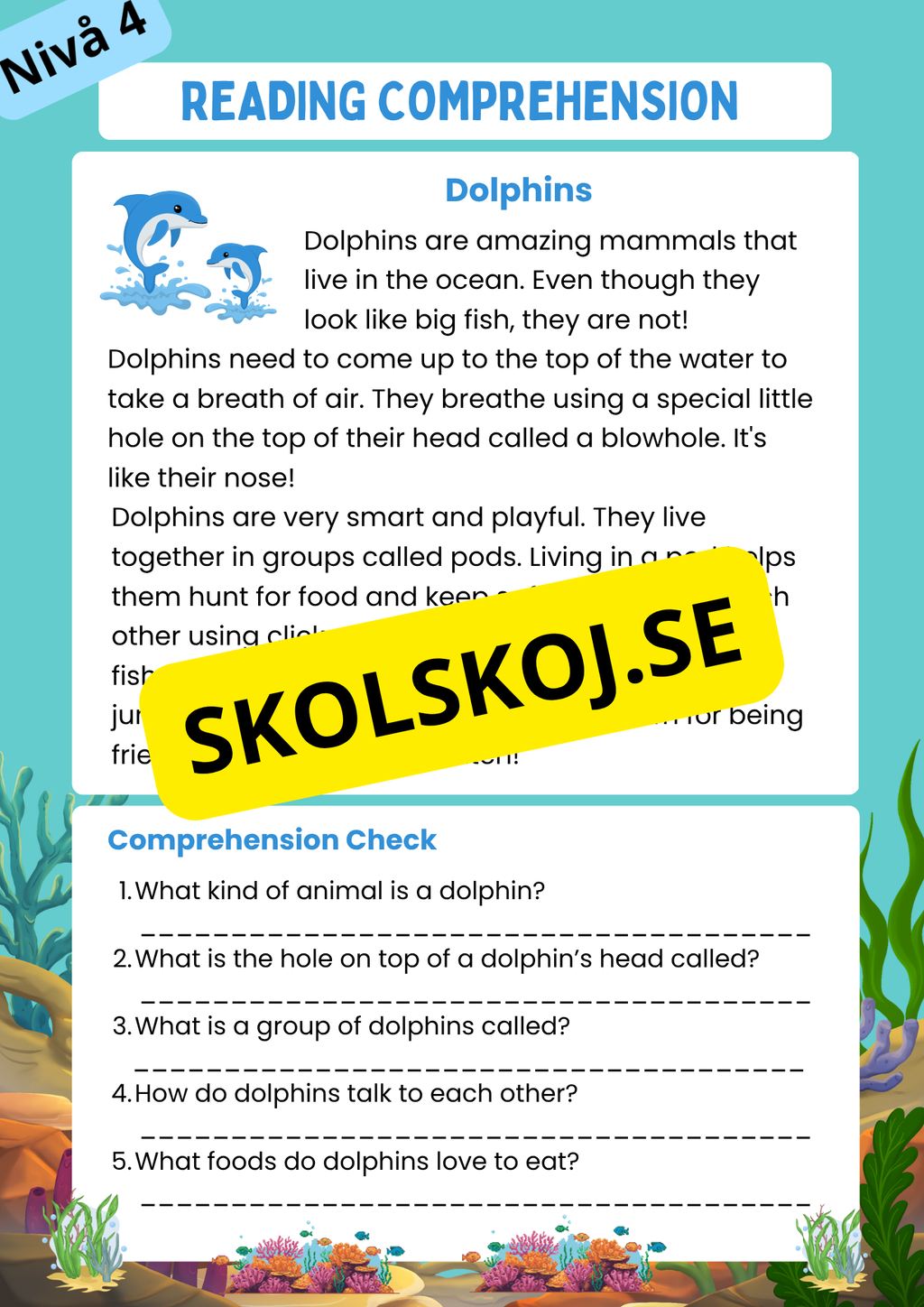 Stort paket - English Reading Comprehension Big Bundle