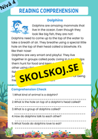 Stort paket - English Reading Comprehension Big Bundle