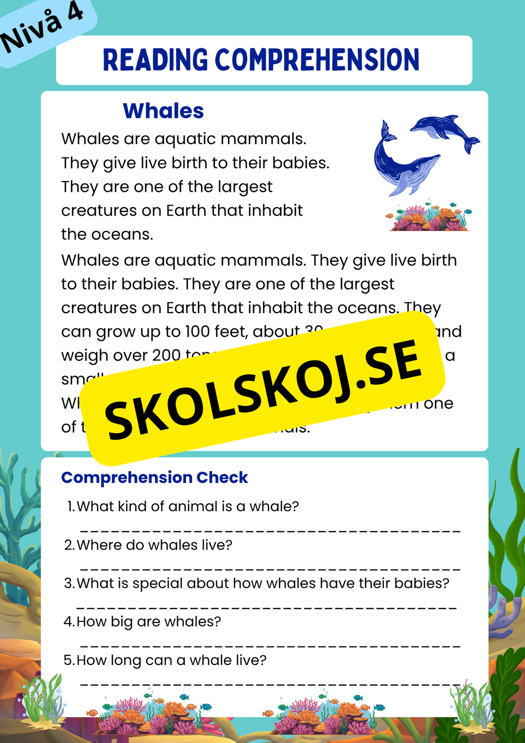 Stort paket - English Reading Comprehension Big Bundle