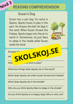 Stort paket - English Reading Comprehension Big Bundle