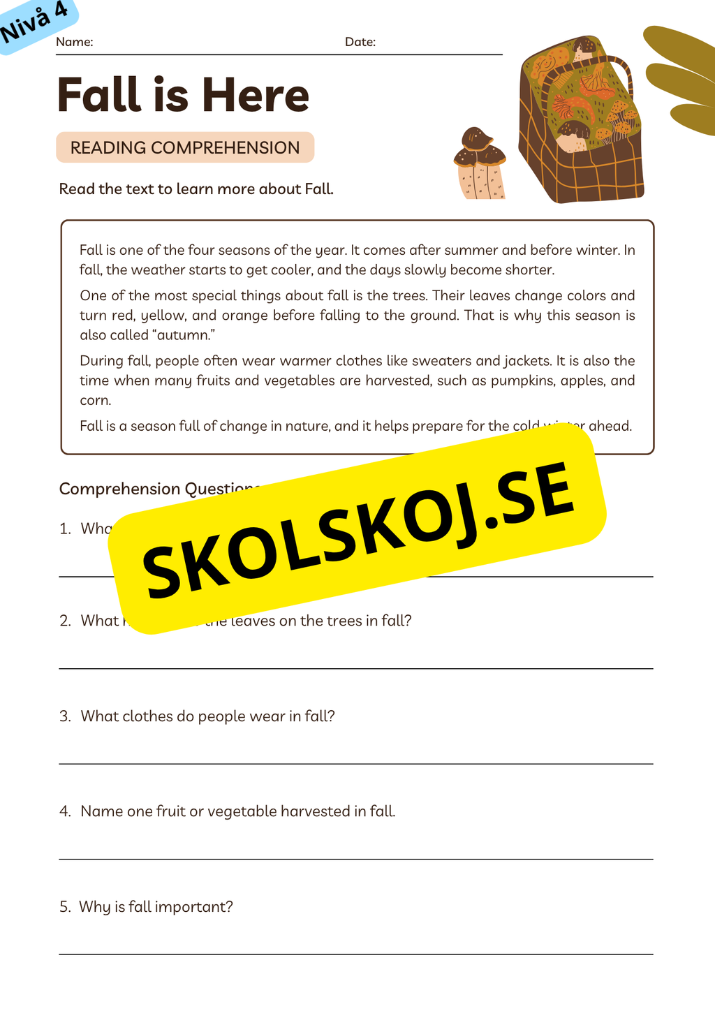 Stort paket - English Reading Comprehension Big Bundle
