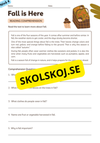Stort paket - English Reading Comprehension Big Bundle