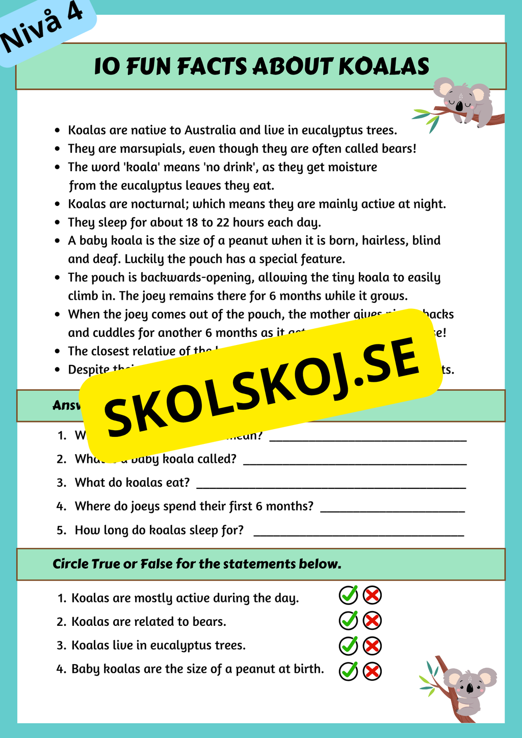 Stort paket - English Reading Comprehension Big Bundle