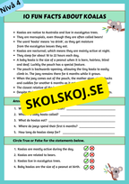 Stort paket - English Reading Comprehension Big Bundle