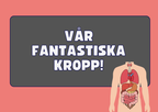 Vår fantastiska kropp - Fakta och frågor
