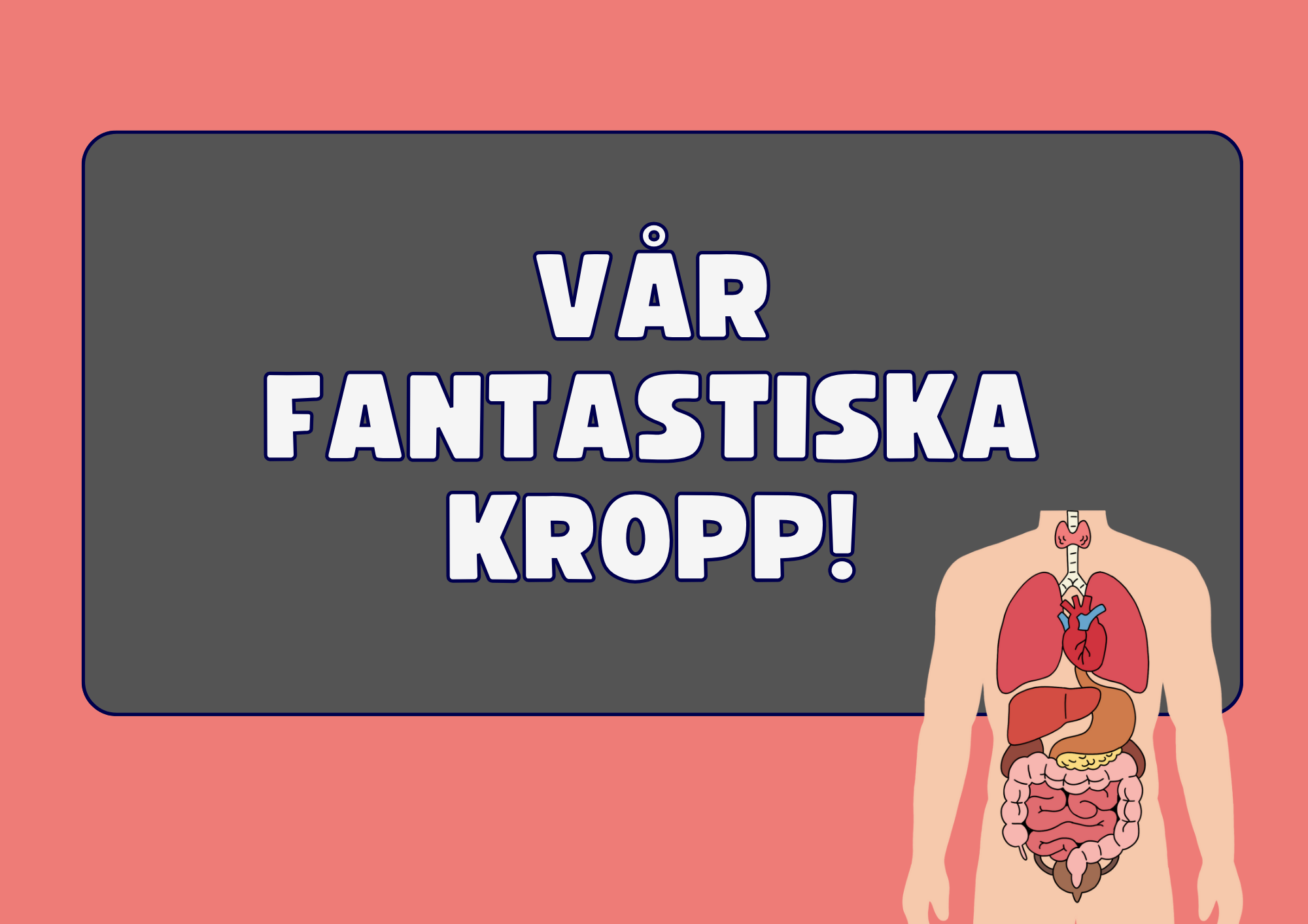 Vår fantastiska kropp - Fakta och frågor