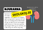 Vår fantastiska kropp - Fakta och frågor