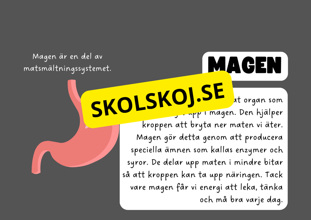 Vår fantastiska kropp - Fakta och frågor
