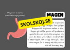 Vår fantastiska kropp - Fakta och frågor