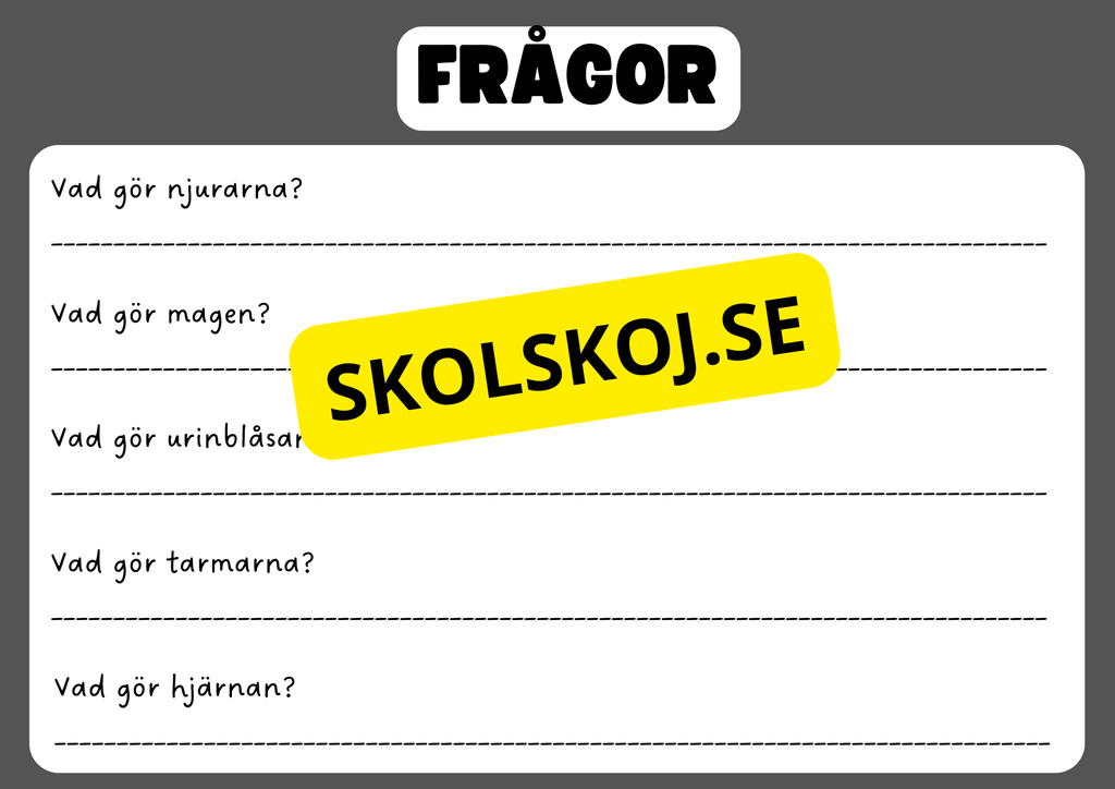 Vår fantastiska kropp - Fakta och frågor