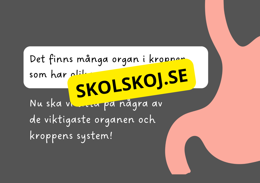 Vår fantastiska kropp - Fakta och frågor
