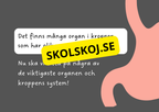 Vår fantastiska kropp - Fakta och frågor