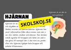 Vår fantastiska kropp - Fakta och frågor